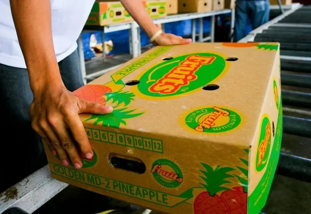 Sustainable Pineapple Farming in Malaysia